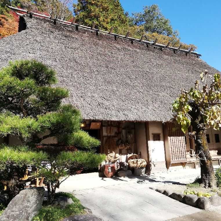 ぎじん