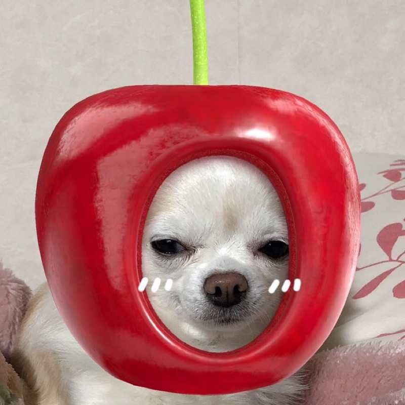 加藤