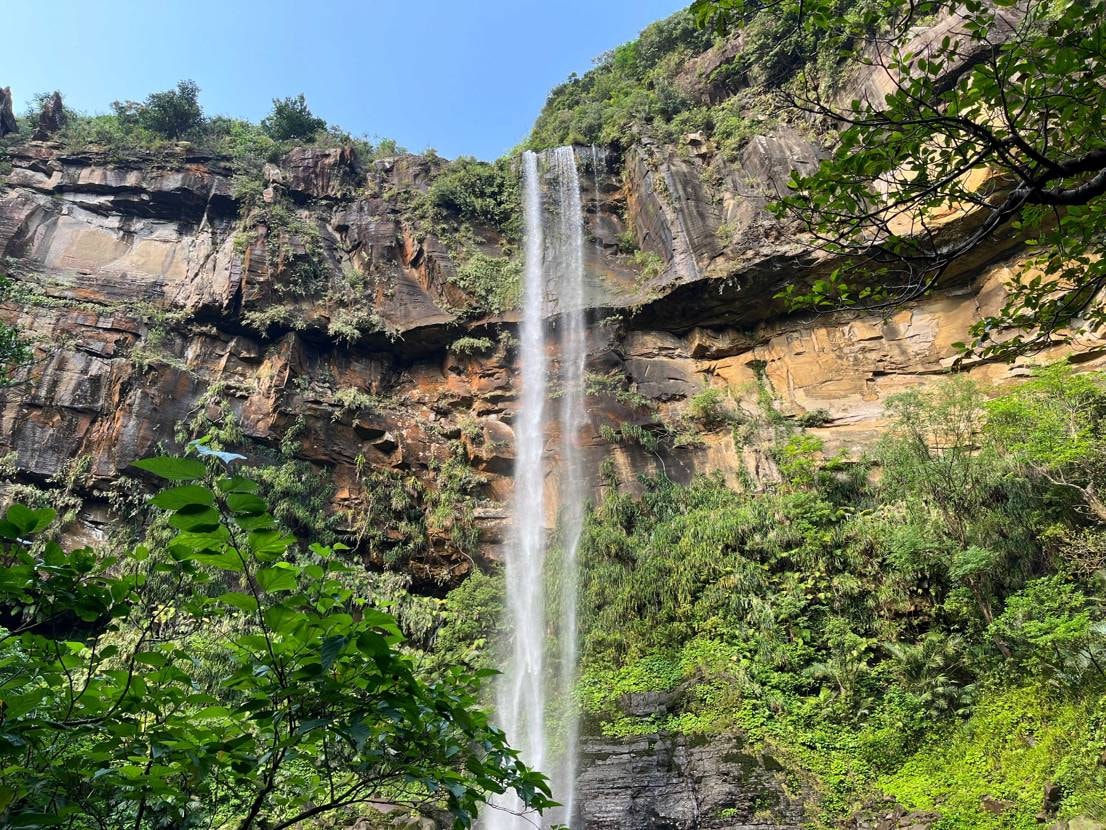 仕事で一週間、西表島に🏝️
いやぁ、自然の恵みとパワーを浴