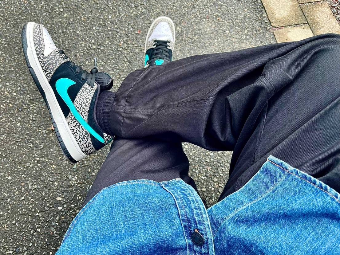 alpacaさんの投稿を見て、🐘履いてお出かけ🚶
いやぁ、いいカラーリングです