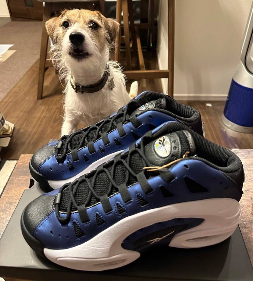 中年アメフト好きの悲しい所。
そもそもリーボック好きなんだよなー（笑）