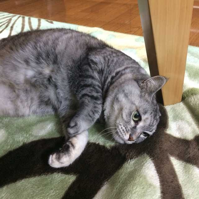 啓喜