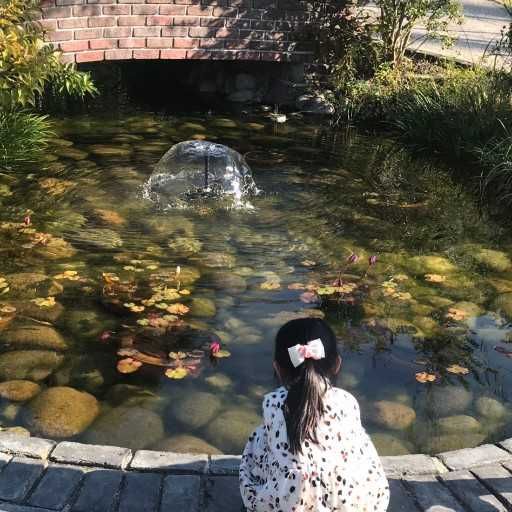 きょんた