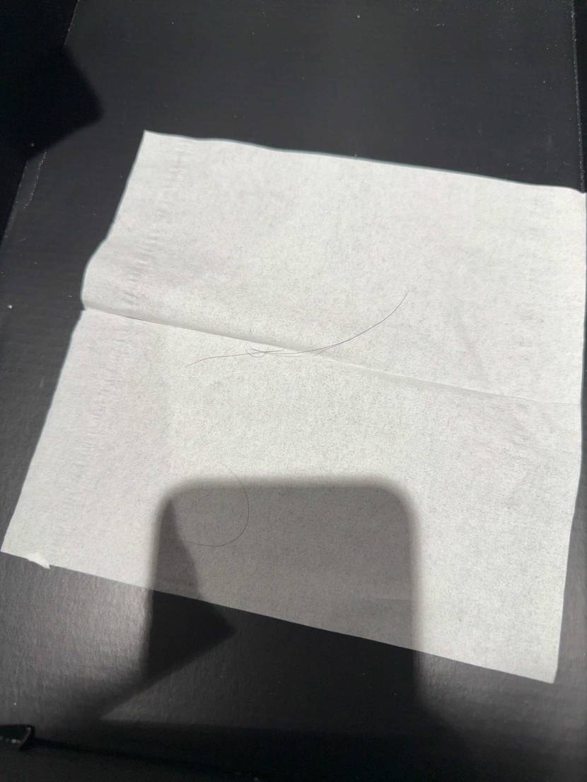 聞いてくれ、ジェリーフィッシュを9万ほどで購入し今開封したら髪の毛、まつ毛が入っ