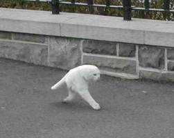 だしあん