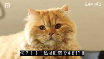 なめこまん