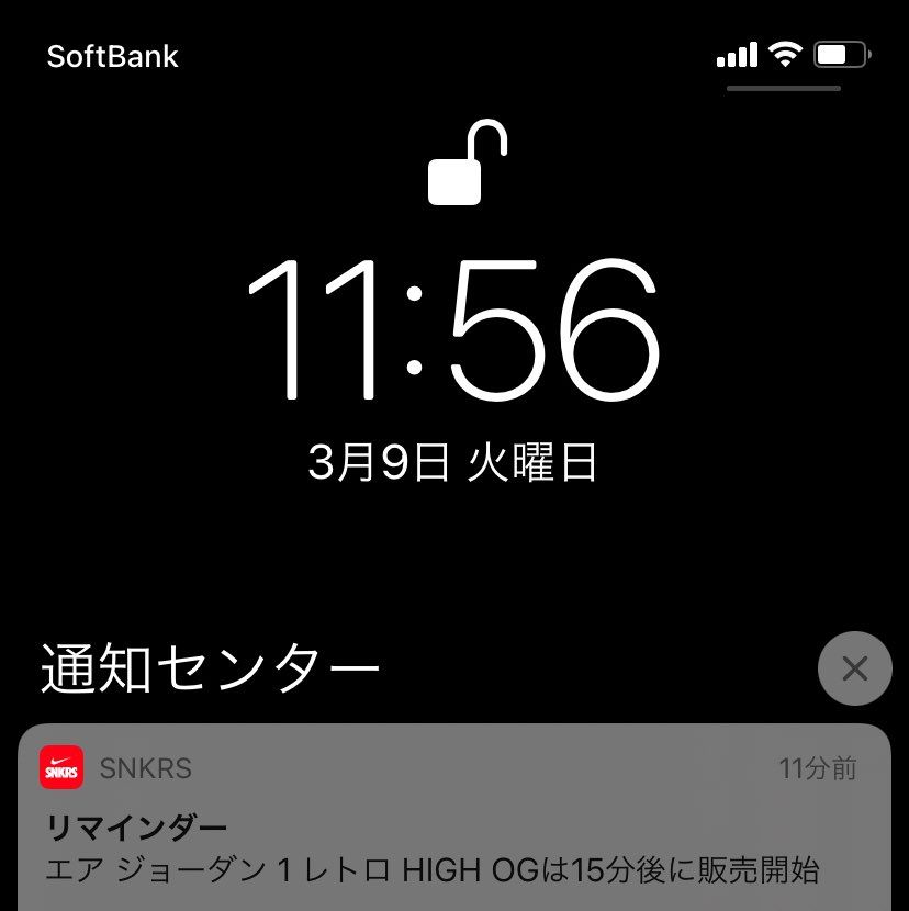 多分バグ。オフホワイトのカイガーのときもなんかそんなことあった🌀