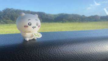 こーちゃん