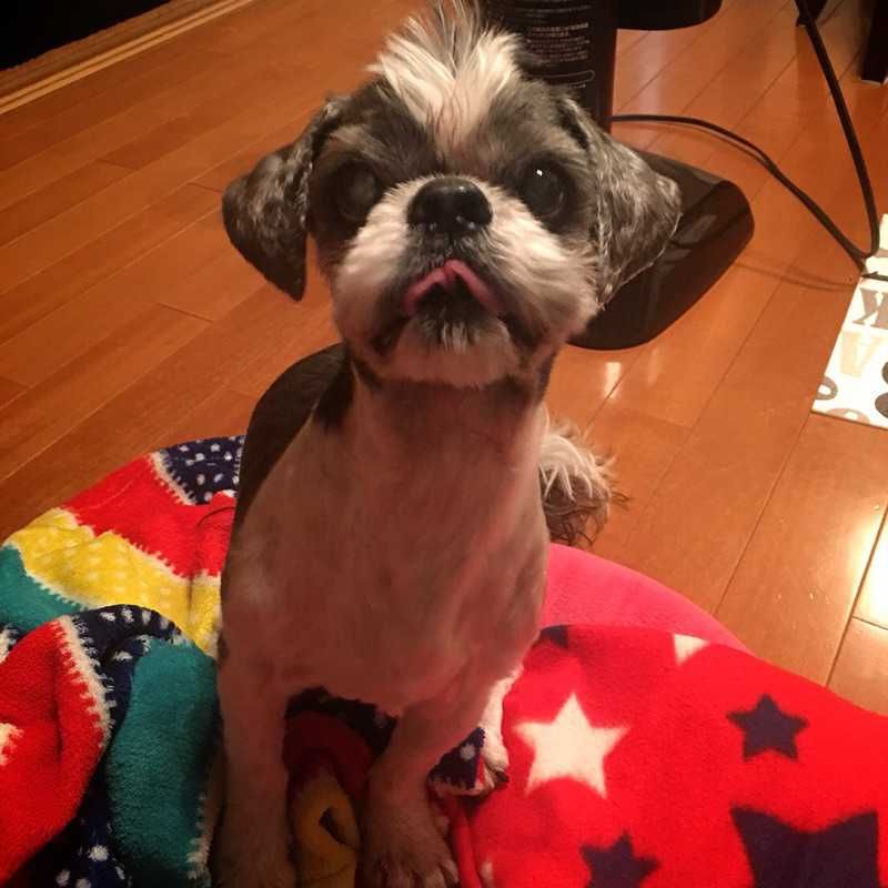りょーいち