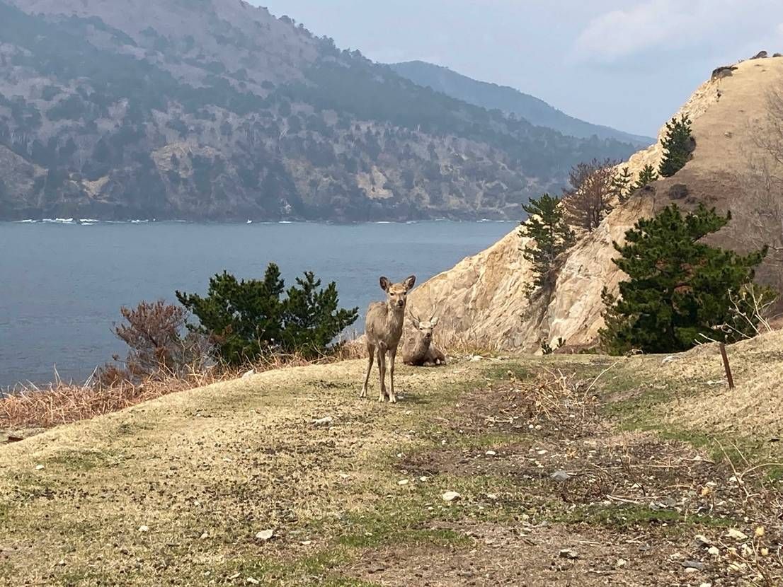 今年初のパワースポット