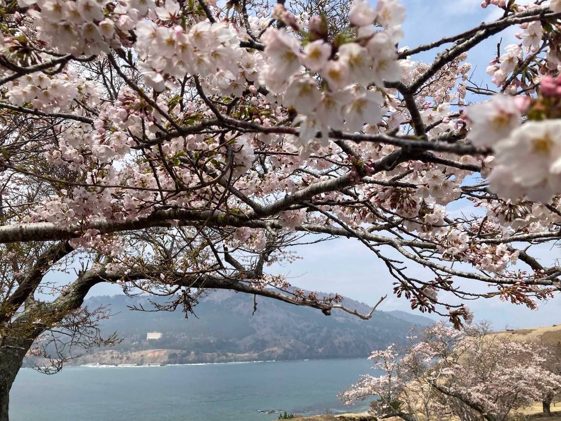 今年初のパワースポット