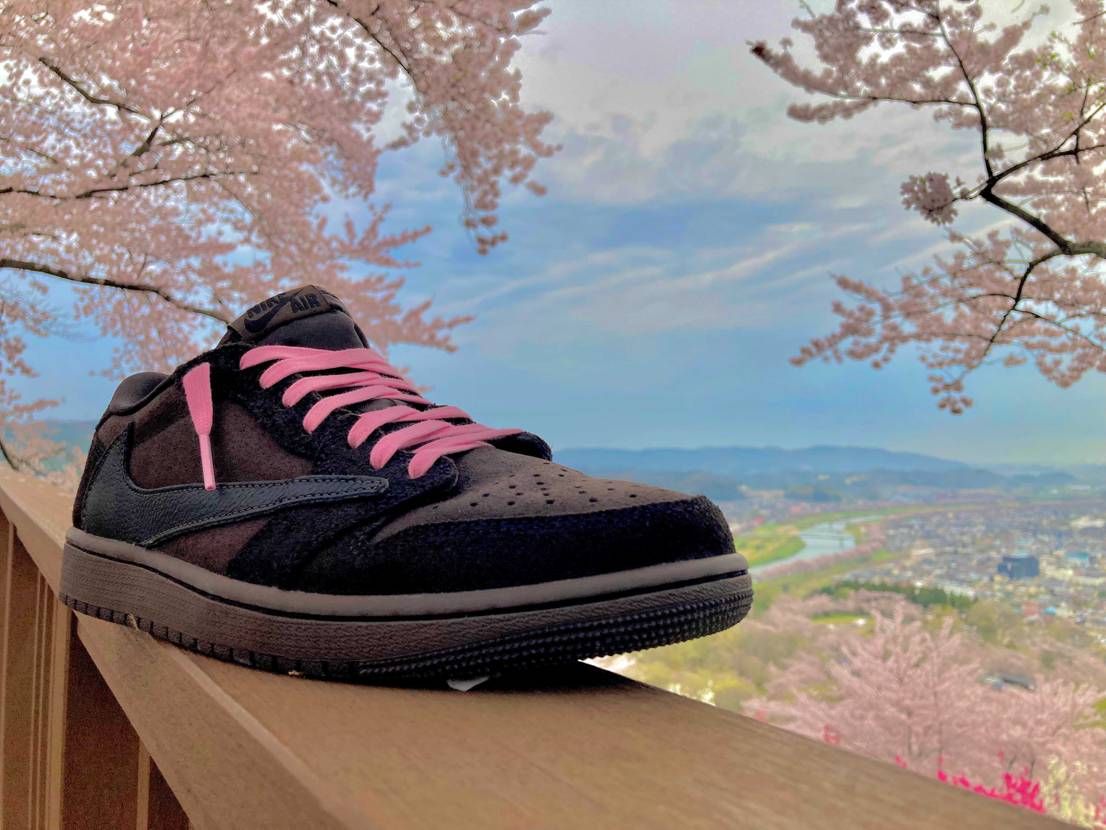 🌸🌸🌸
もう散り始めてる