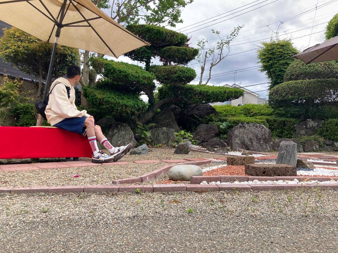 今日は和食ランチ