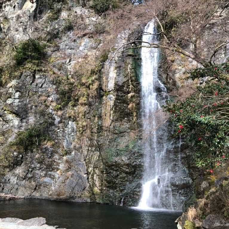 yu-ki