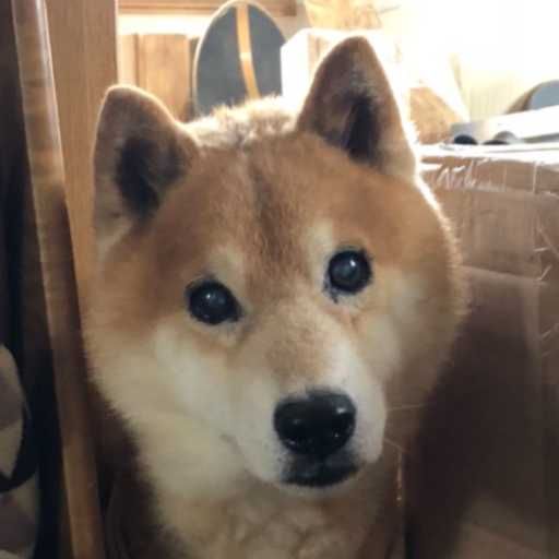 えめ