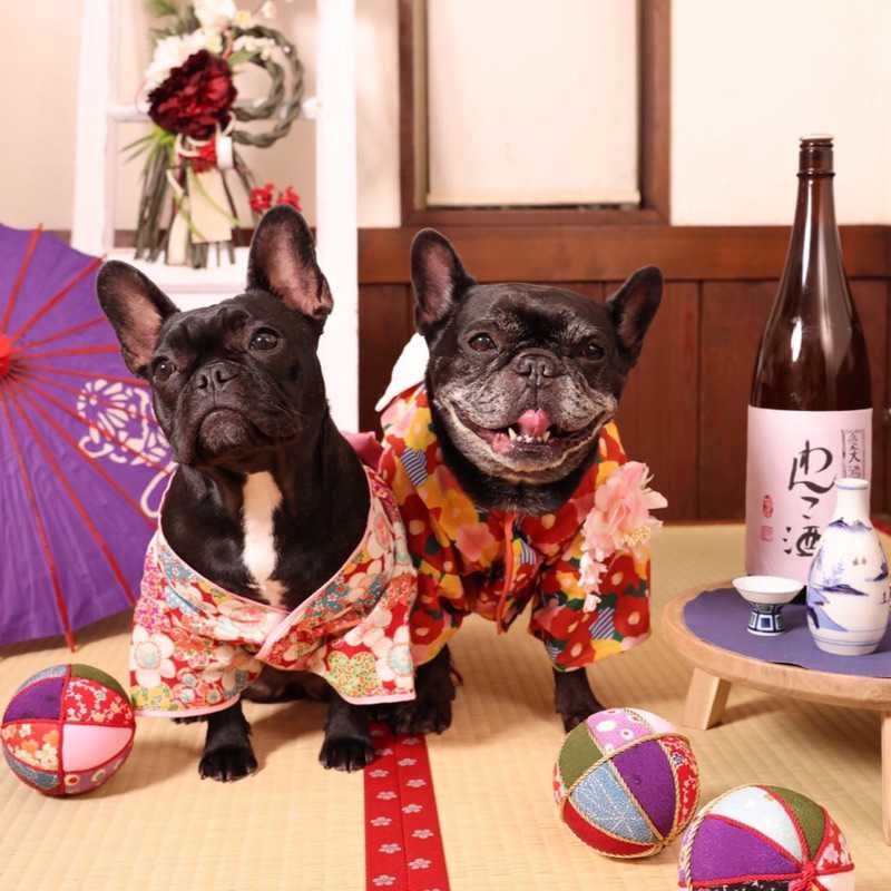 丸尾太亮(出品者)