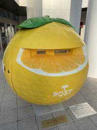 まっきーくん