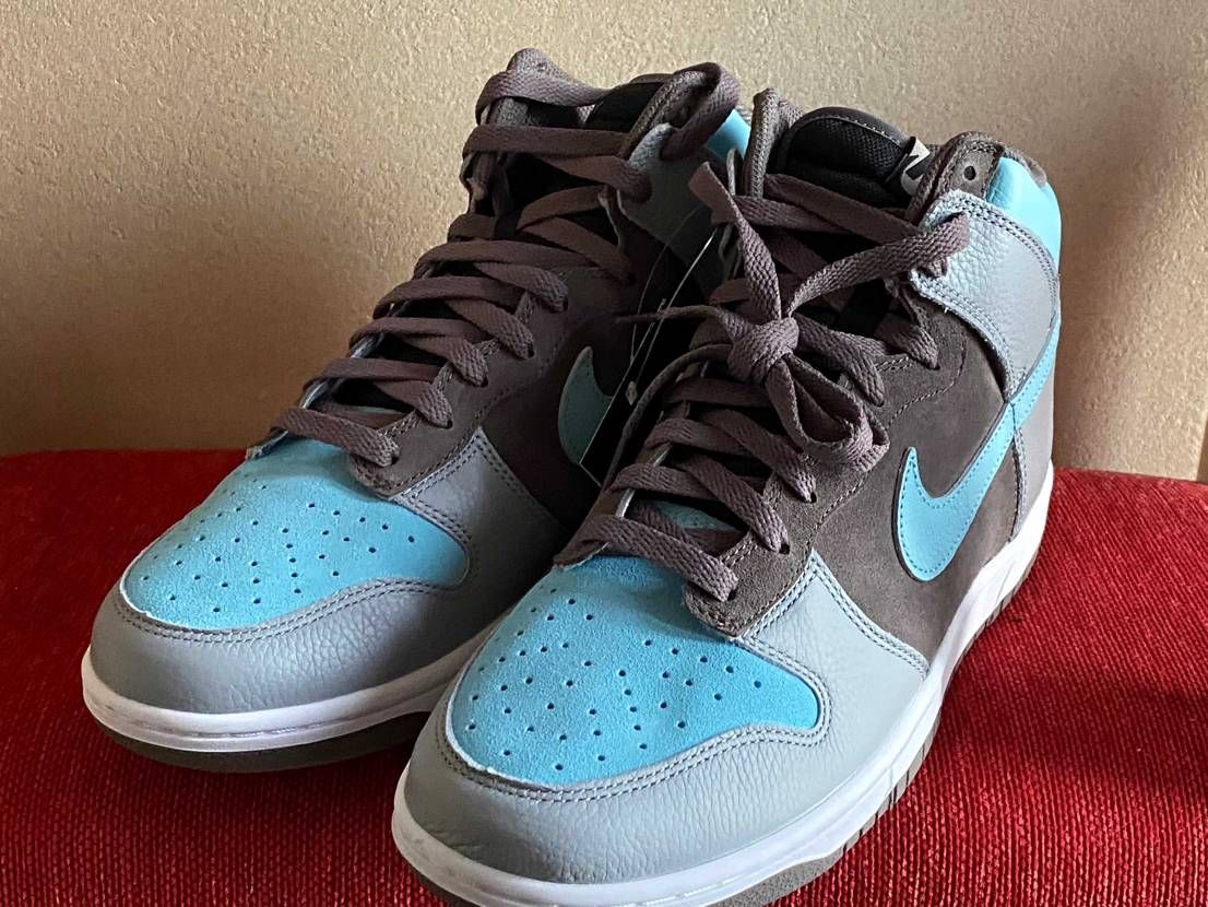 🐟NIKE琵琶湖？🐟
NIKEバイユーで初めてダンクハイを