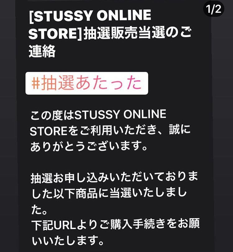 STUSSY X NIKE AIR ZOOM KUKINI 