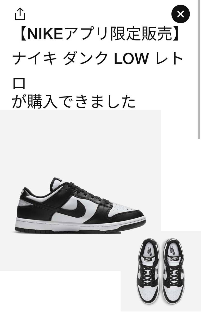 久々公式🐼😁