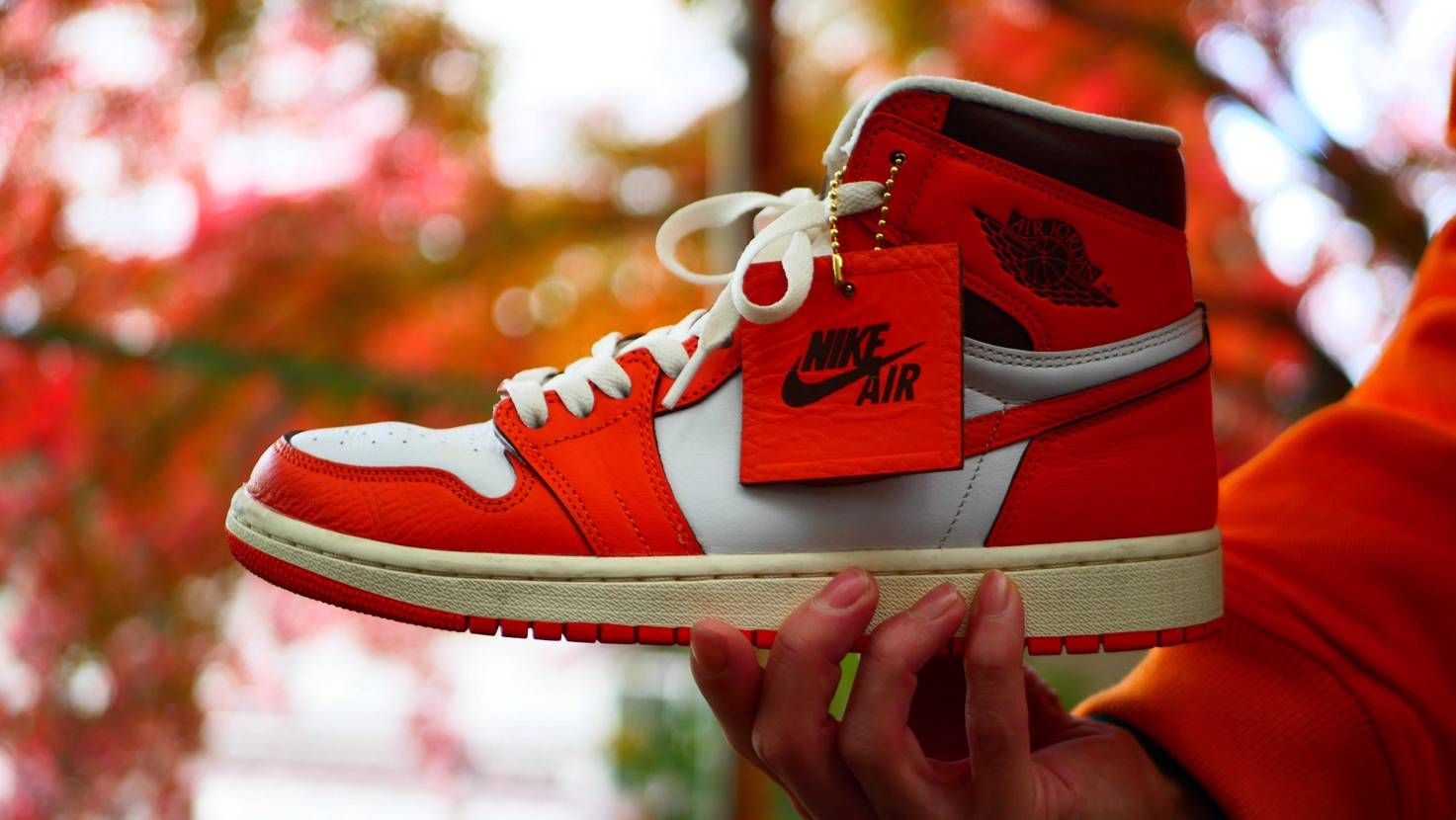 すっかり紅葉の季節ですね🍁