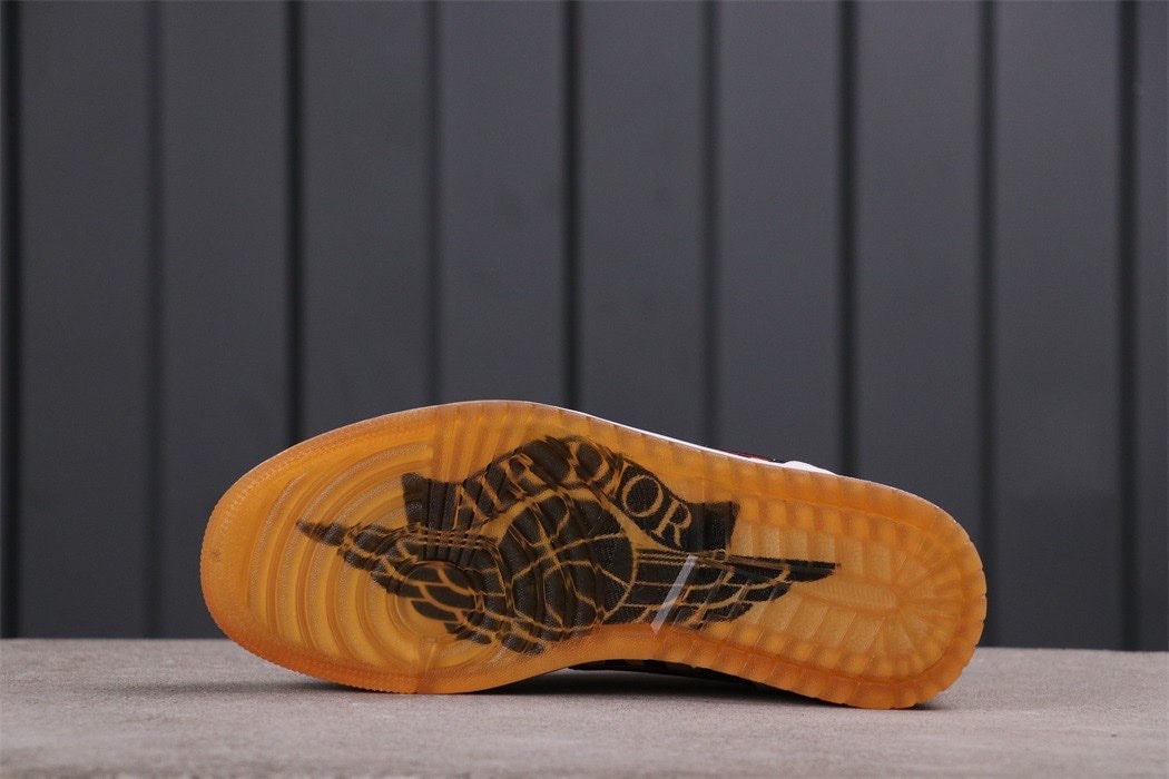 DIOR & NiKe
　　　　TIGER