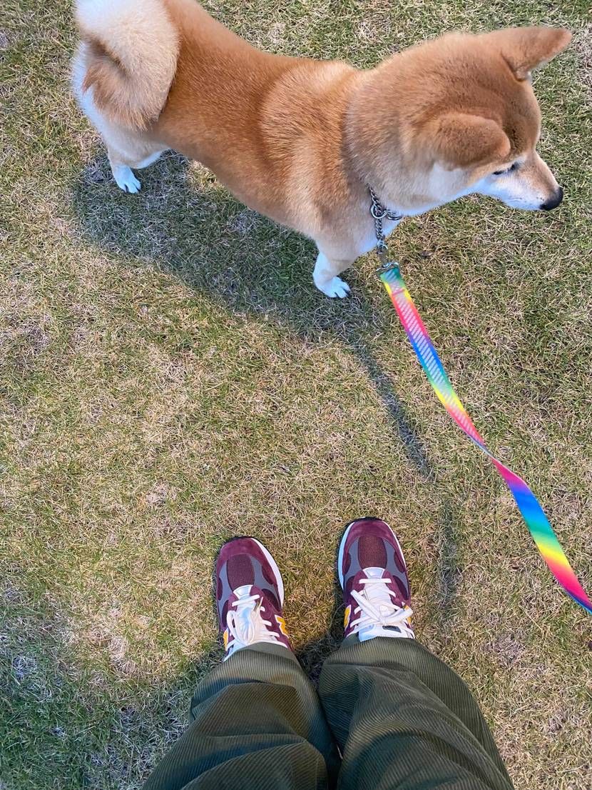 今日の散歩
M992Burgundyいい色。