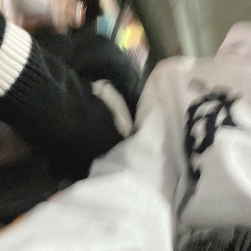 Y(出品者)