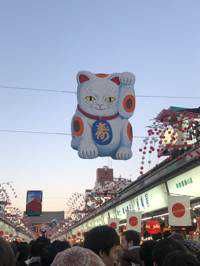 ゴットエム(出品者)