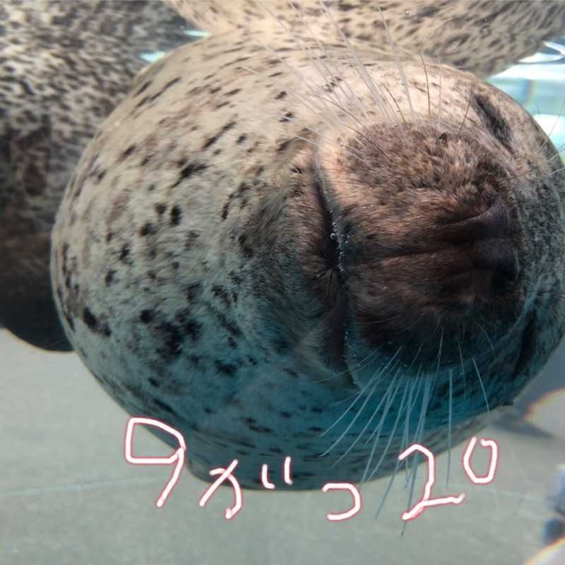 まさつな