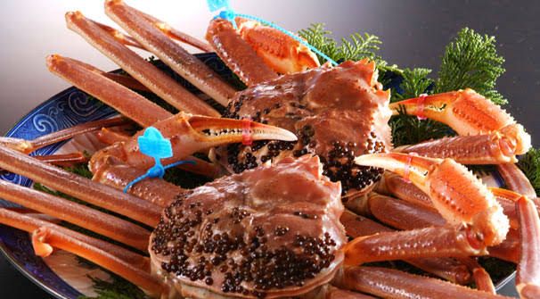 職業柄タグがついてるオフホワイトはこれを想像してしまう
ちなみにジョーダン14