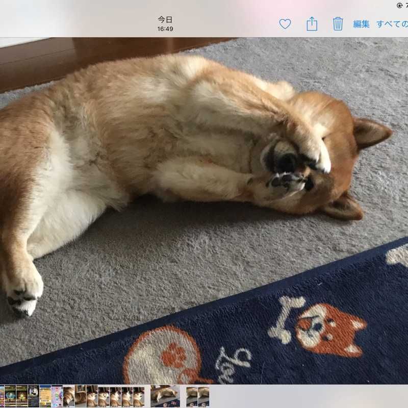 ユーザーアイコン