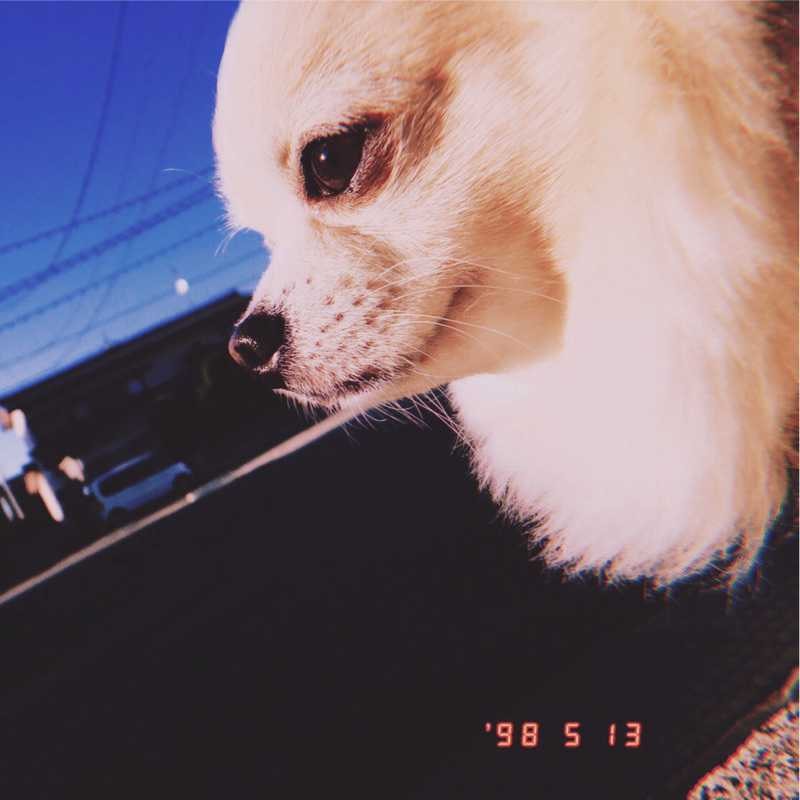 しゅん