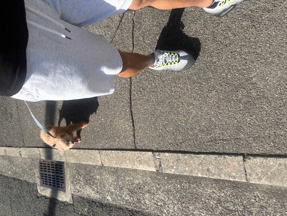 16歳と46歳の早朝散歩。
2026 95履き倒してる。🐶
予備が沢山あるか