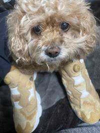 ユーザーアイコン