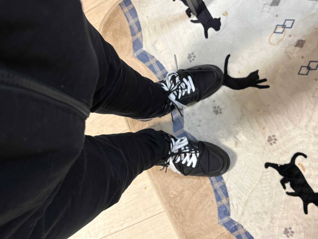 やっとマイサイ手に入れた。
50しか欲しくなかったから、買