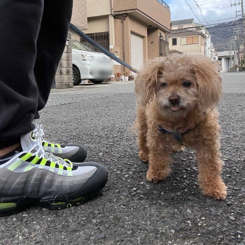 5足目の予備が来た事だし。
2025→1足（未使用封印）
2026→5足（未