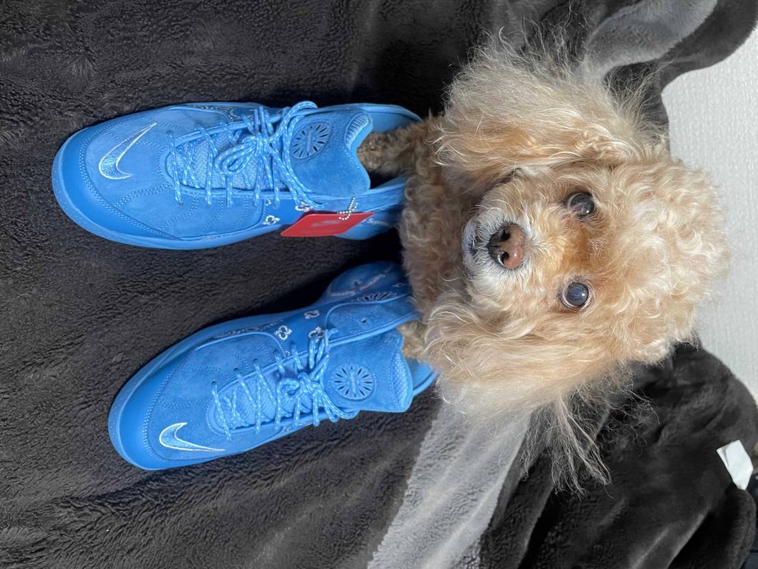 水色とベージュもったいなくて、履けてない。