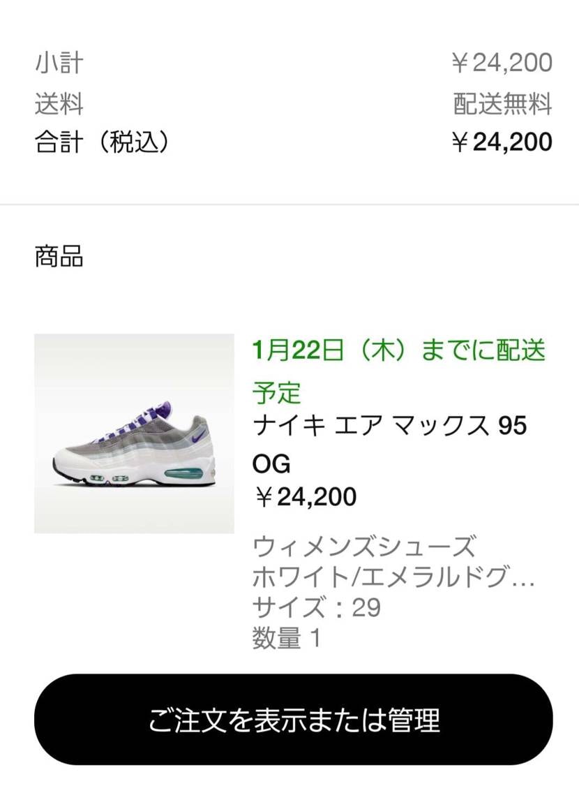 今年1足目 Nike Women's Air Max 95 OG Big Bub