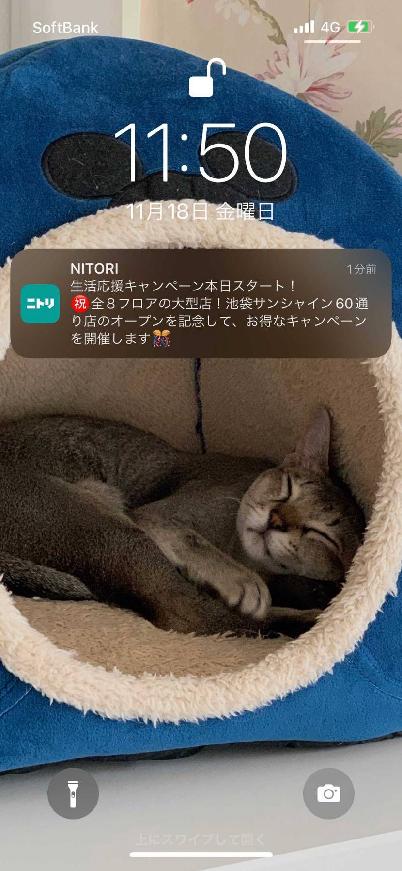 ニトリだった笑
後10分あんのに手汗が笑