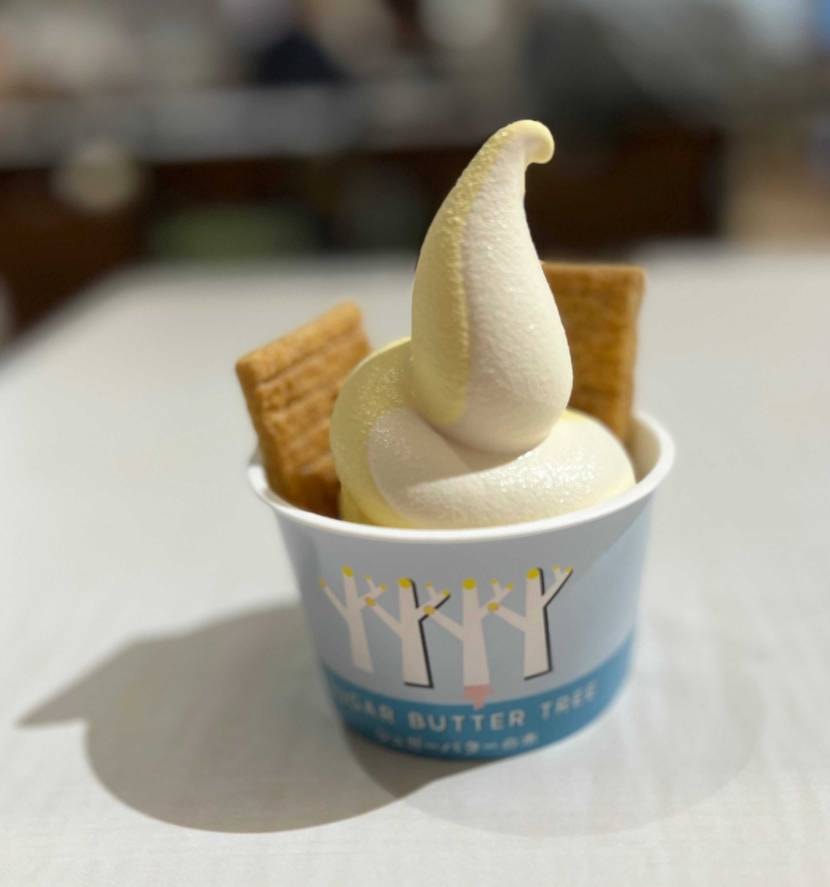 一年ぶりの恐竜博物館へ🚗💨
涼しくなってきたので、とっても