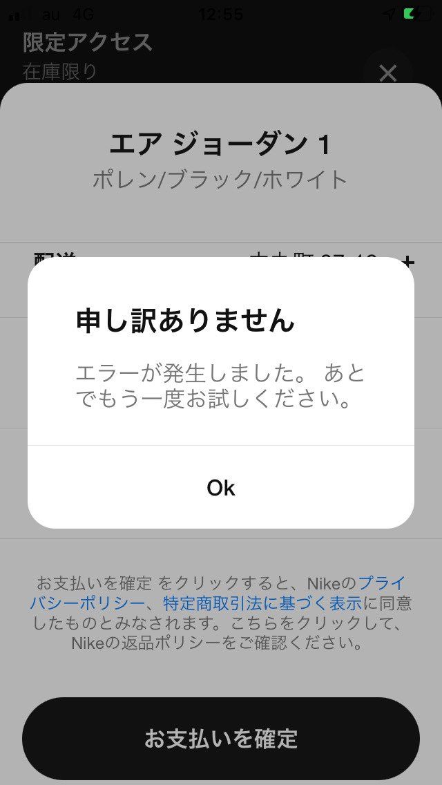 一昨日限定アクセス来たけど、エラーで買えず、今日の🐿で買えました
欲しかったか