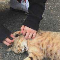 ユーザーアイコン