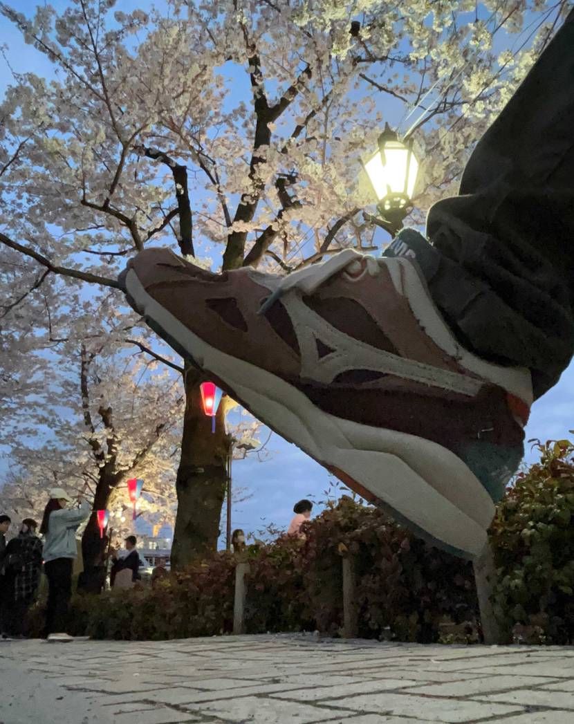 こんばんは🌸桜ってやっぱりいいですよねー😊👍
mizunoもやっぱりいいよねぇ