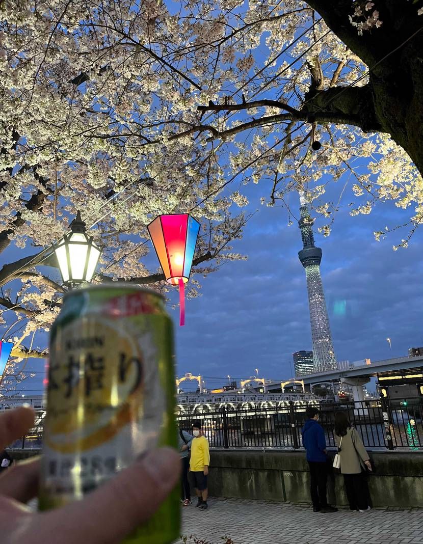 こんばんは🌸桜ってやっぱりいいですよねー😊👍
mizuno