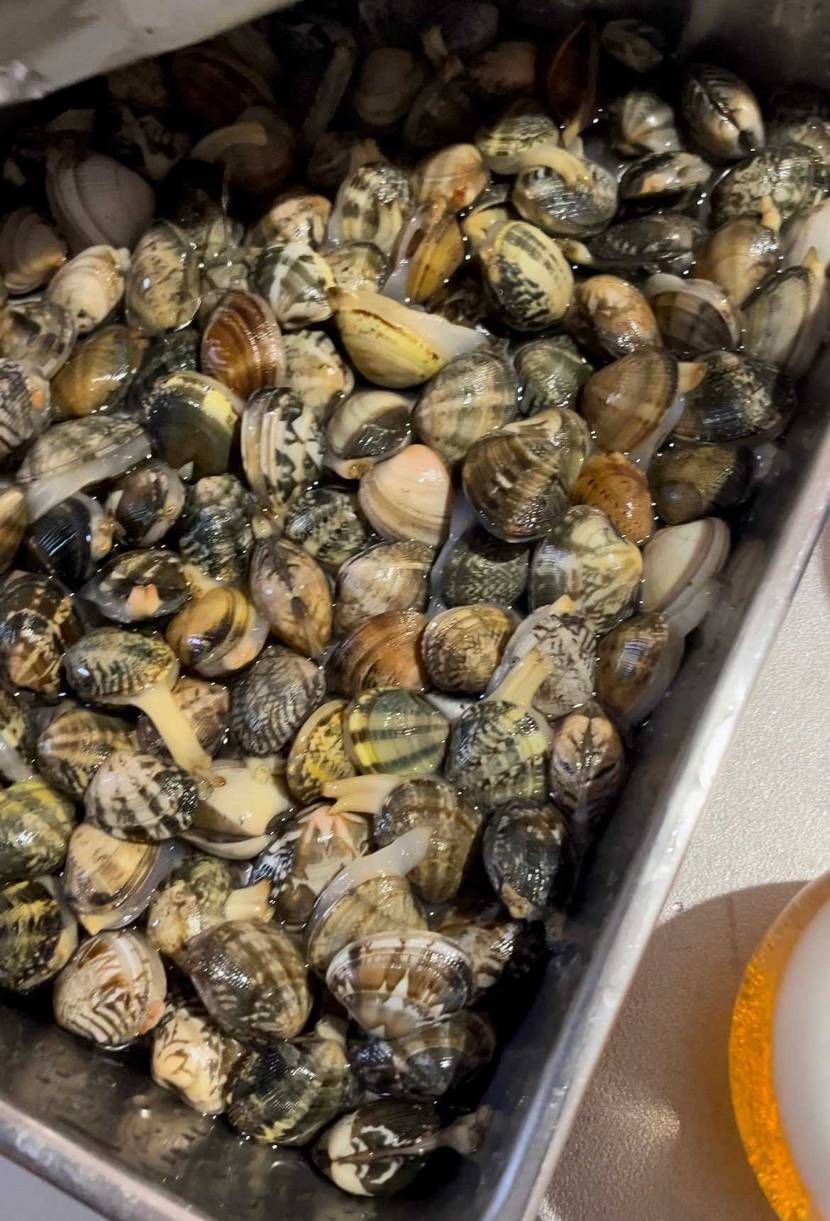 今回も⛩効果ありがとうございます♪
今日は、取った貝をボン