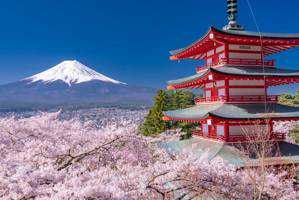 浅野(出品者)