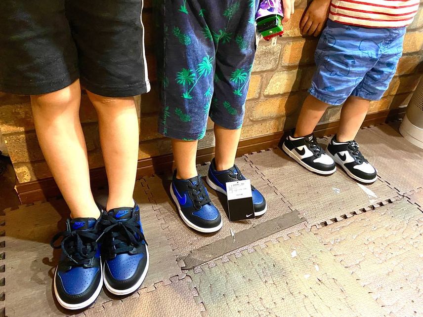 この青のダンクカラーっていままでで大人のも出てますか?
ハイパーコバルトが一番