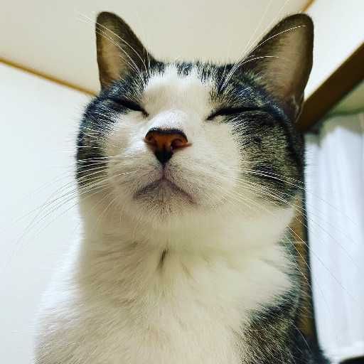 ブルーローズ(出品者)
