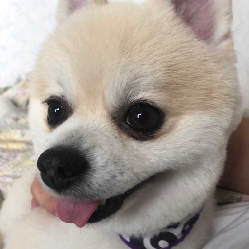 しゅん
